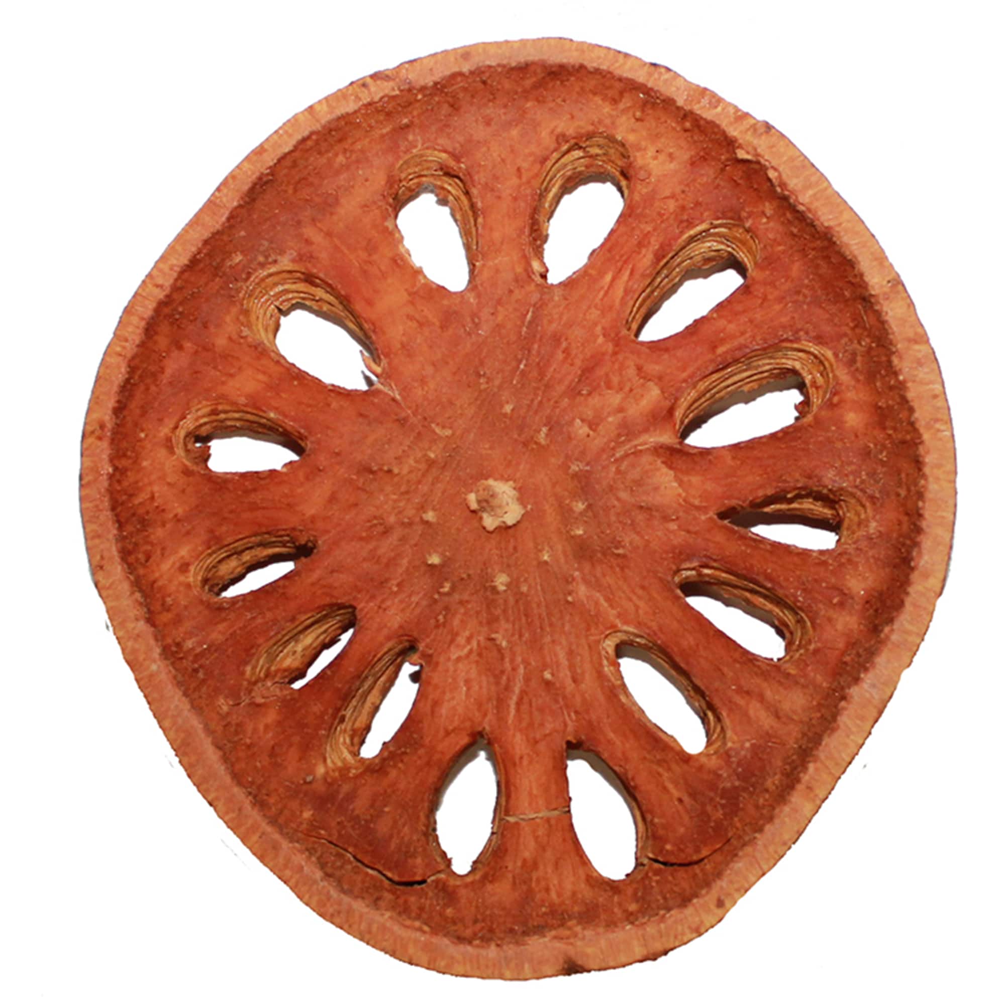 3.5" Natural Bel Slice without Seeds, 16ct.